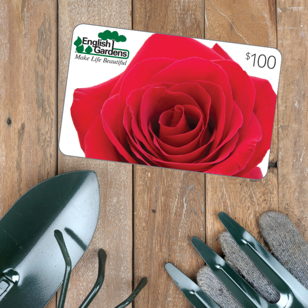 $100 Gift Card Red Rose