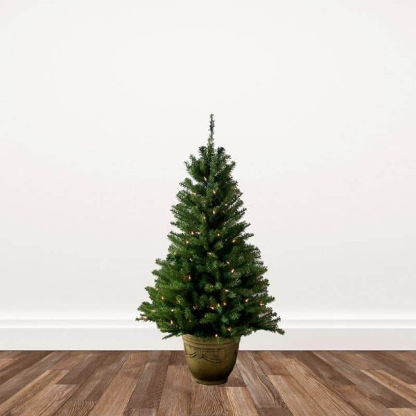 4-ft. Potted Fir Entrance Pre-lit Artificial Christmas Trees - Clear