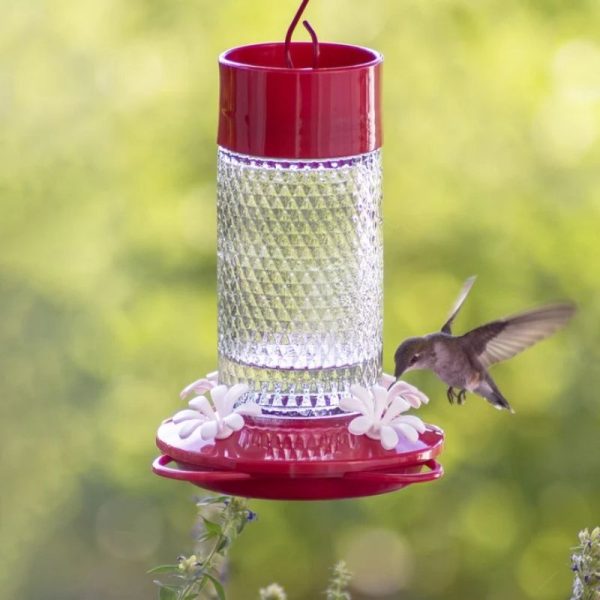 Hummingbird Feeder Cherry