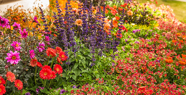 Planning Your Spring Garden