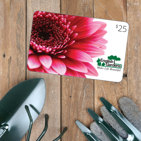 $25 Gift Card Daisy