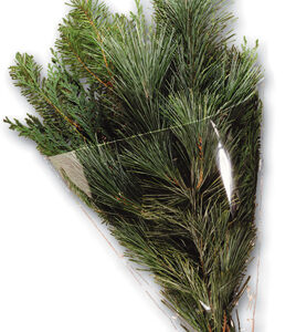 Evergreen Bouquet