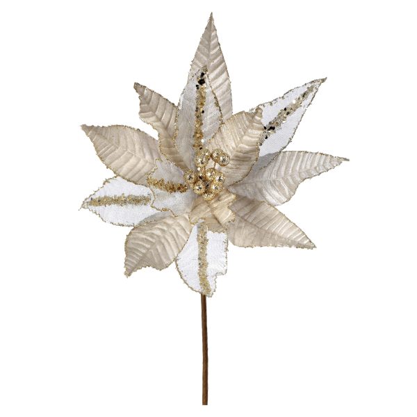 Champagne Velvet Poinsettia