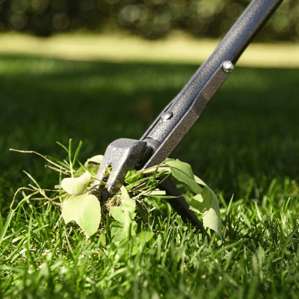 Yard Butler Rocket Weeder