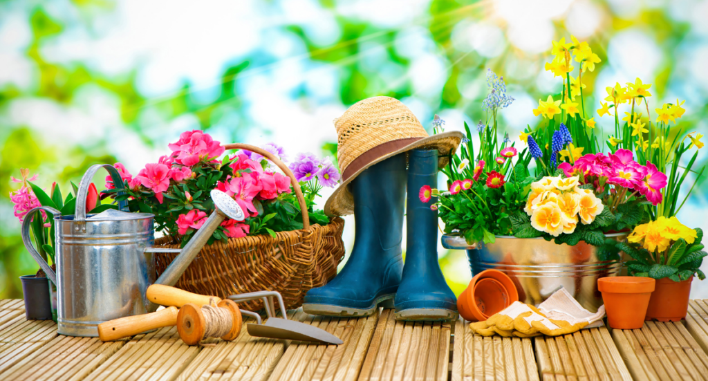 The Benefits of Gardening