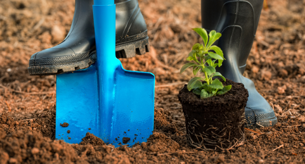 Spring Planting Tips