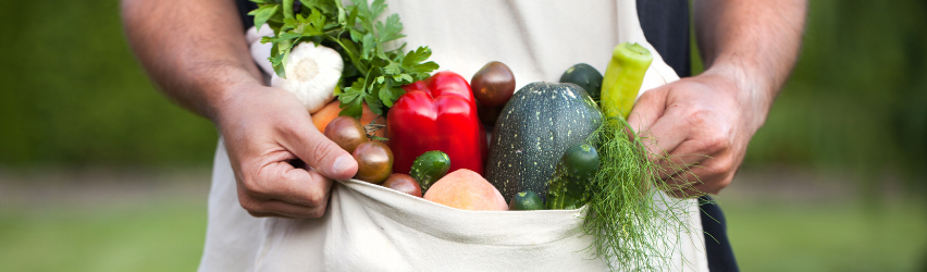 Caring for Vegetable Plants