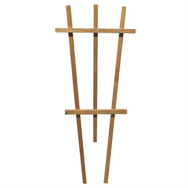 Fanned Pot Trellis
