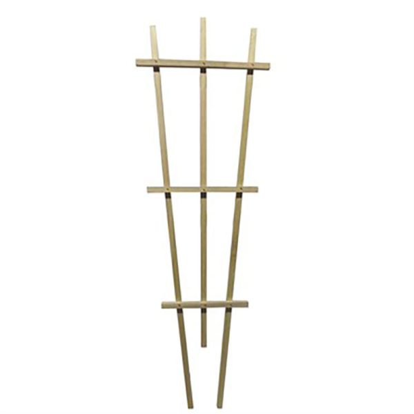 Fanned Pot Trellis