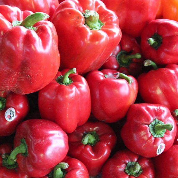 Chef Jeff "Red Beauty" Red Bell Pepper