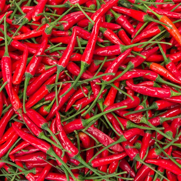 Chef Jeff "Cayenne" Pepper