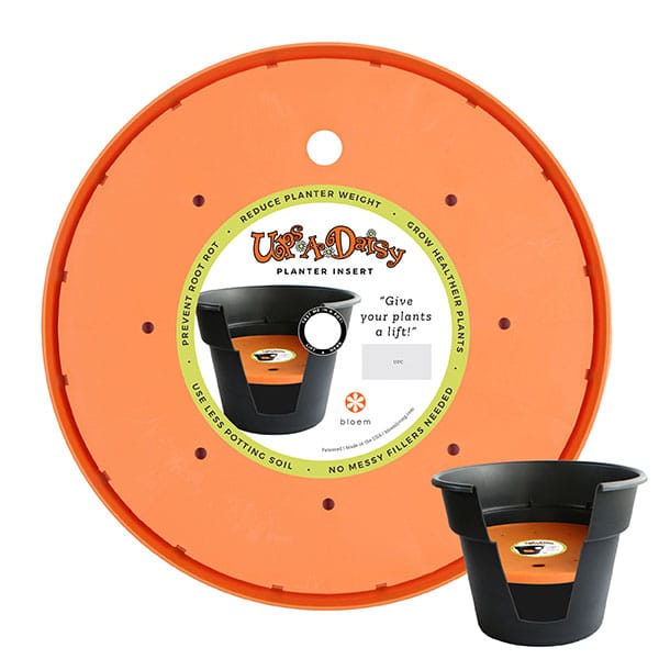 Ups-A-Daisy 12" Insert
